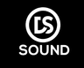 DS Sound Logo